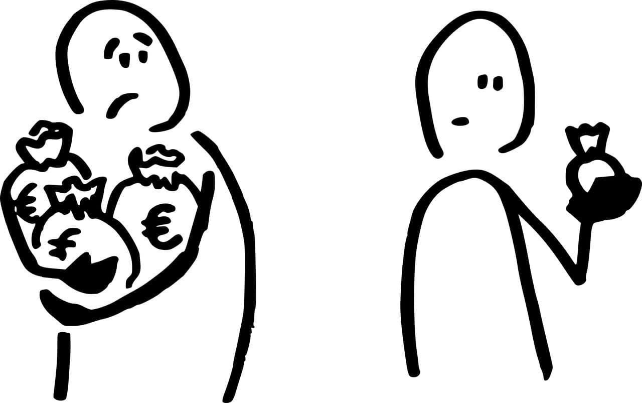 Inégalités de richesse et de revenu